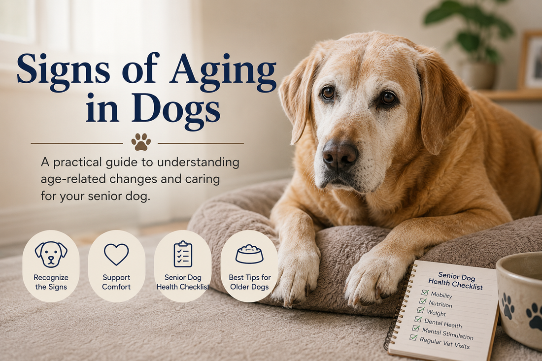 The Future of Pet Parenting: How Smart Animal Care Gadgets Are Changing the Way We Care for Our Pets
